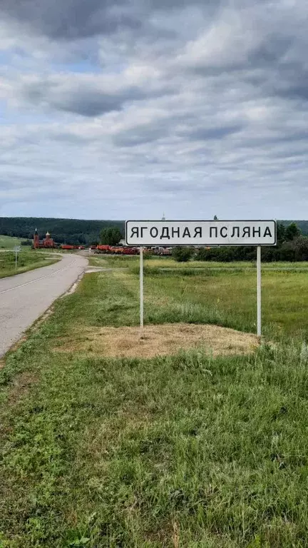 Участок в Саратовская область, Татищевский район, Ягодно-Полянское ... - Фото 0
