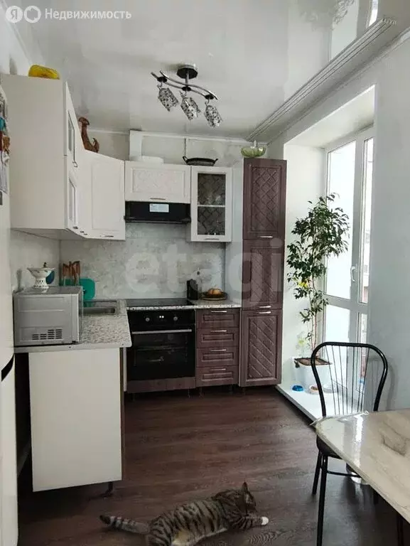 2-комнатная квартира: Благовещенск, Пионерская улица, 3/1 (44.8 м) - Фото 1