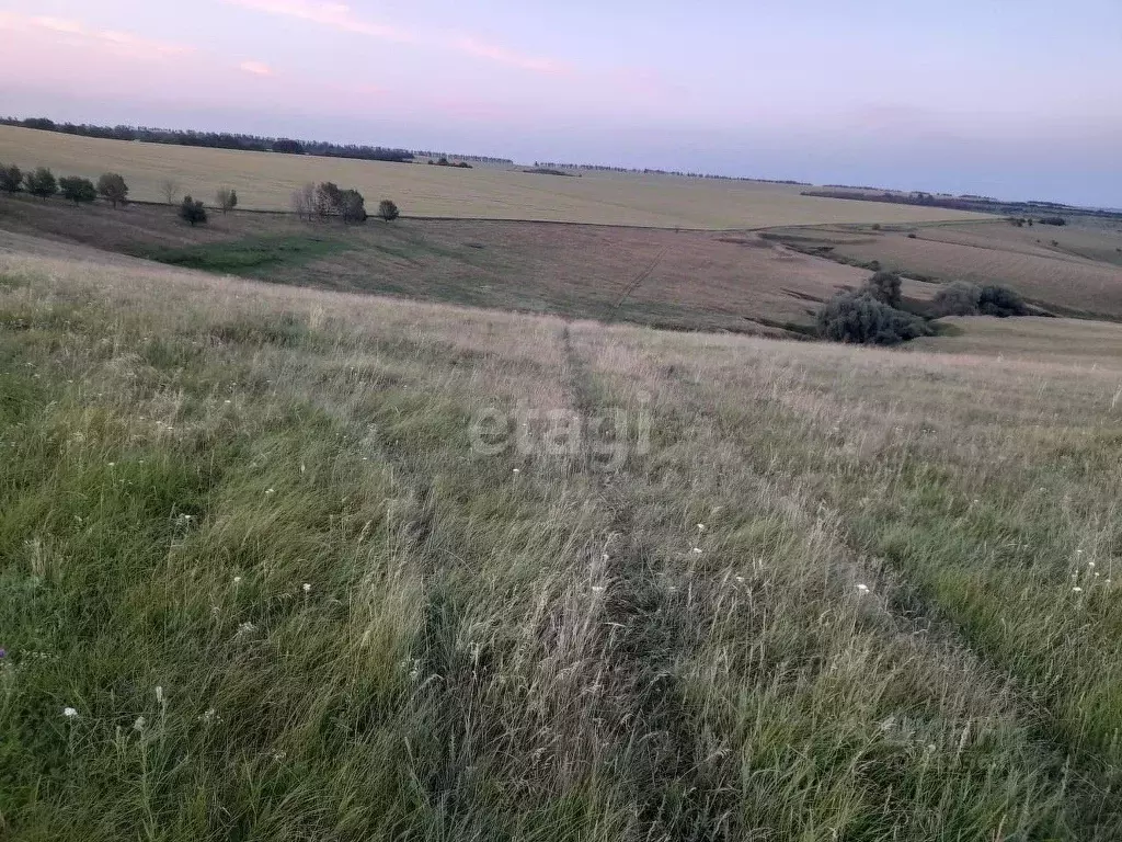 Участок в Белгородская область, Вейделевский район, Малакеевское ... - Фото 1