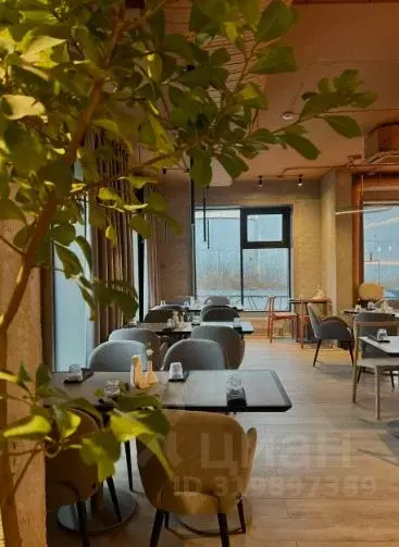 Торговая площадь в Свердловская область, Екатеринбург ул. Машинная, 1В ... - Фото 2