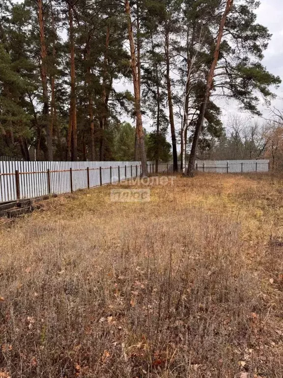 Дом в Оренбургская область, Бузулукский район, Колтубановский ... - Фото 2