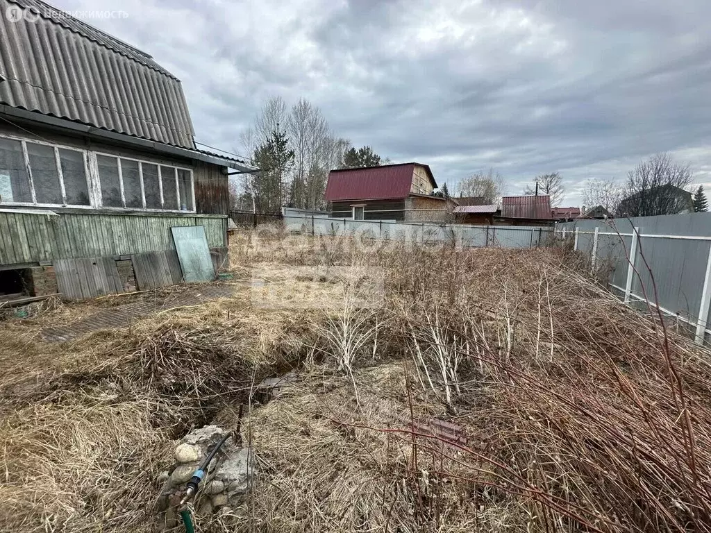 Участок в Шелехов, СНТ Ветеран, 50 (4.37 м) - Фото 1