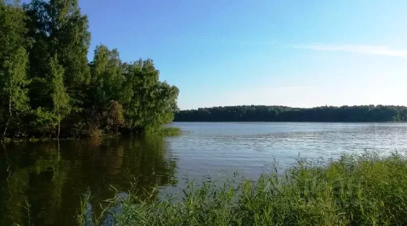 Участок в Московская область, Солнечногорск городской округ, д. ... - Фото 1