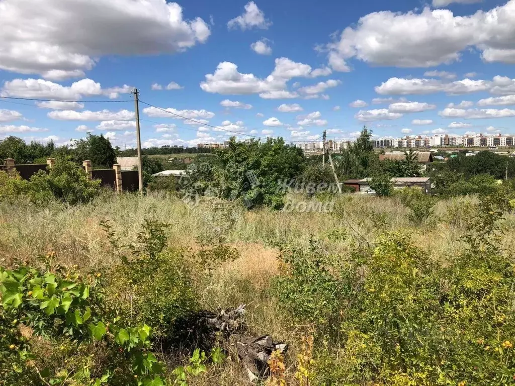 Участок в Волгоградская область, Волгоград Геофизик СНТ,  (6.16 сот.) - Фото 1