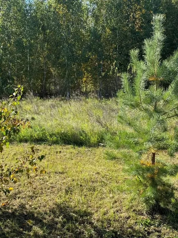 Участок 8,4 сот. (ИЖС) - Фото 1