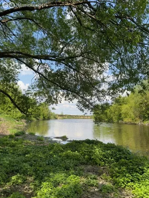 Участок в Московская область, городской округ Подольск, деревня ... - Фото 2