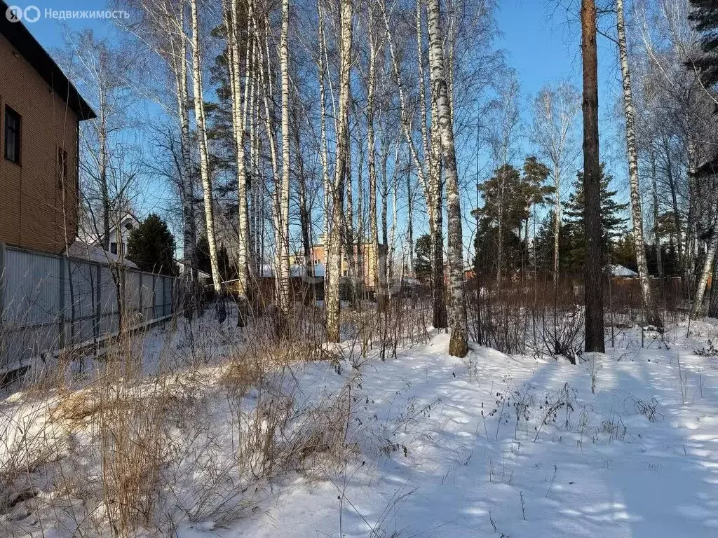 Участок в Новосибирская область, Коченёвский муниципальный район, ... - Фото 1