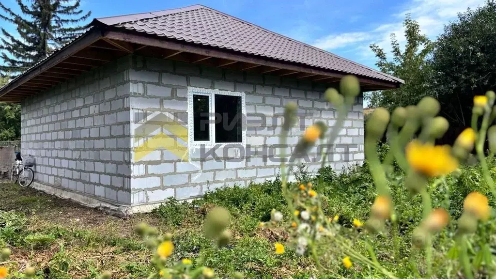 Дом в Омская область, Омск Строитель СНТ,  (65 м) - Фото 0