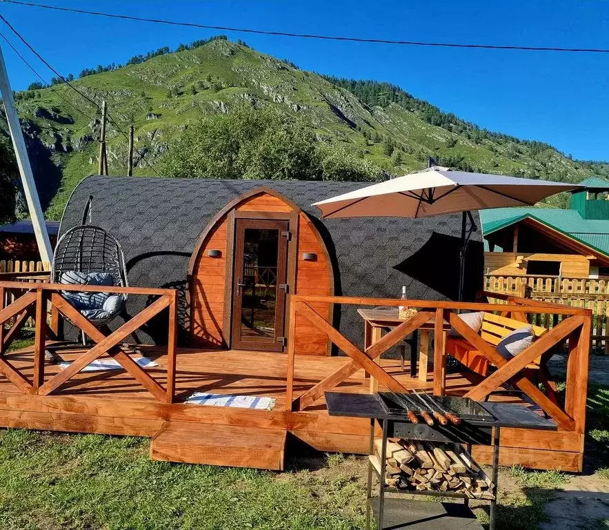 Дом в Алтай, Чемальский район, с. Анос ул. Яблоневая, 2 (20 м) - Фото 0