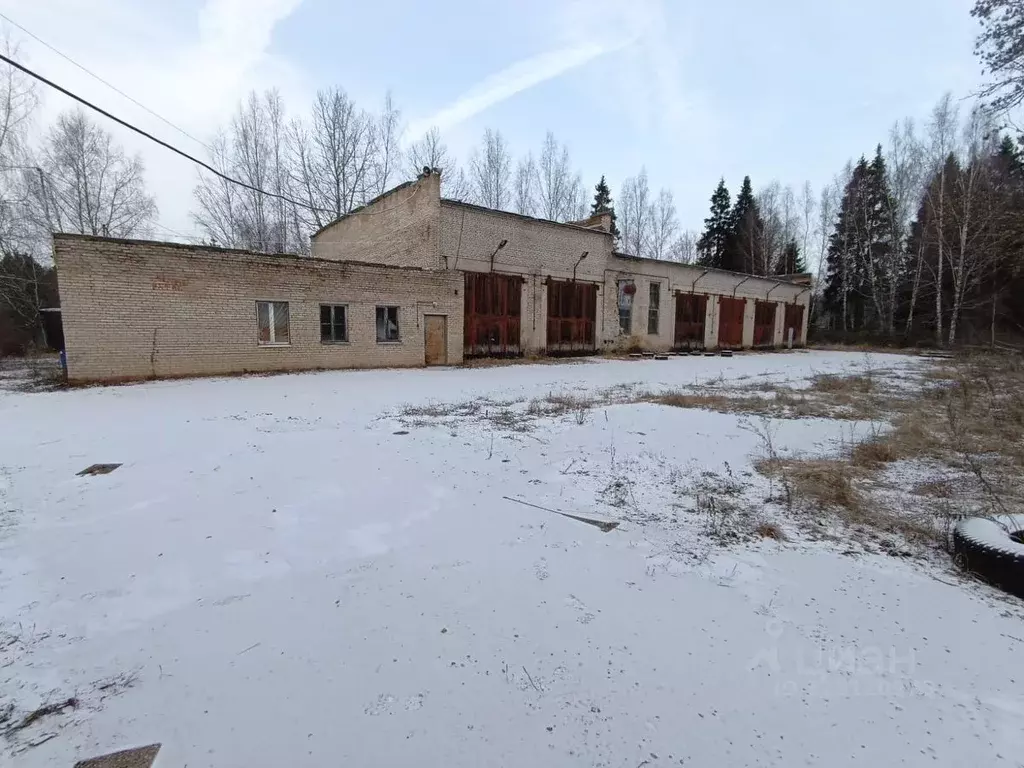 Склад в Московская область, Рузский муниципальный округ, Сосновый Бор ... - Фото 2