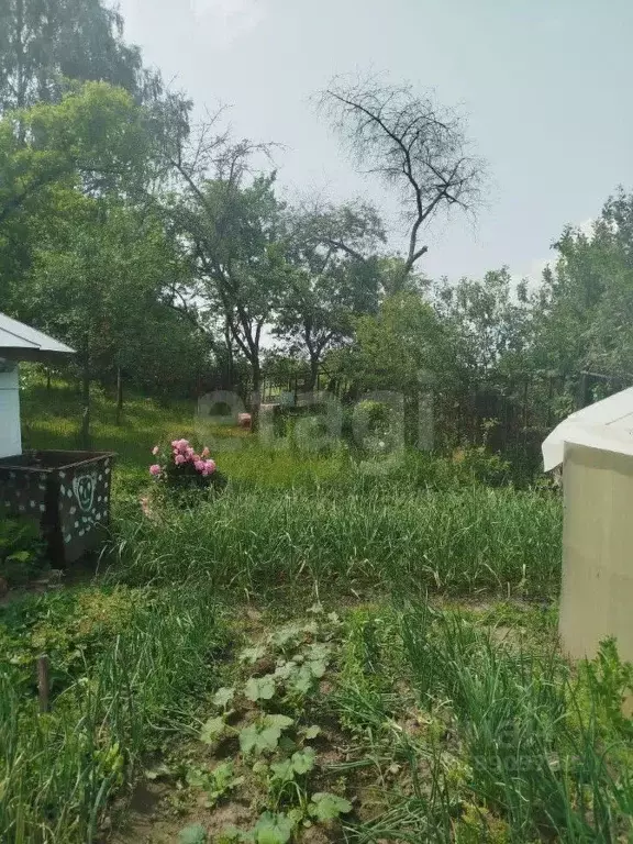 Дом в Брянская область, Брянск Родина садоводческое объединение,  (26 ... - Фото 1