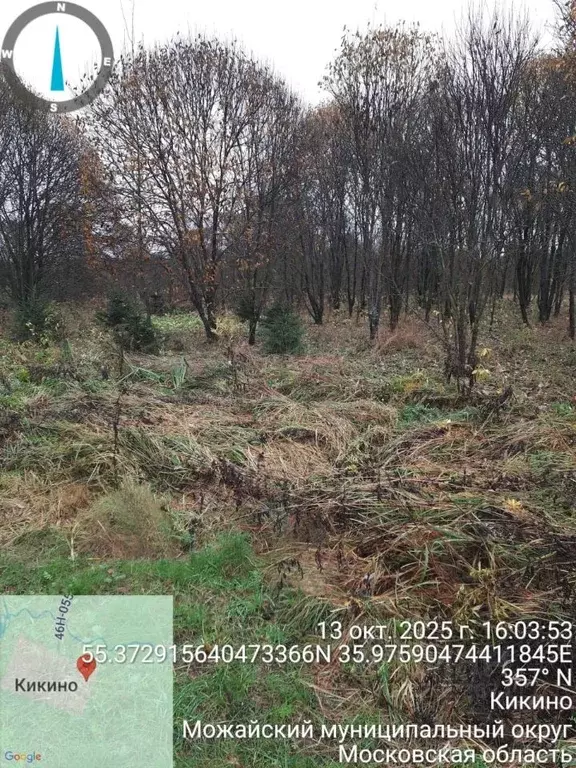 Участок в Московская область, Можайский муниципальный округ, д. Кикино ... - Фото 2