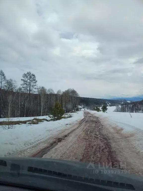 Участок в Хакасия, Таштыпский район, д. Большой Бор  (10.0 сот.) - Фото 1