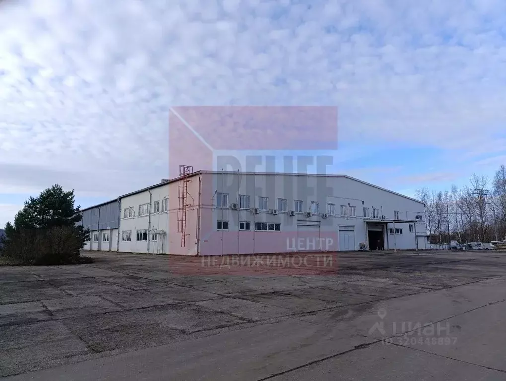 Склад в Калининградская область, Светловский городской округ, пос. ... - Фото 1