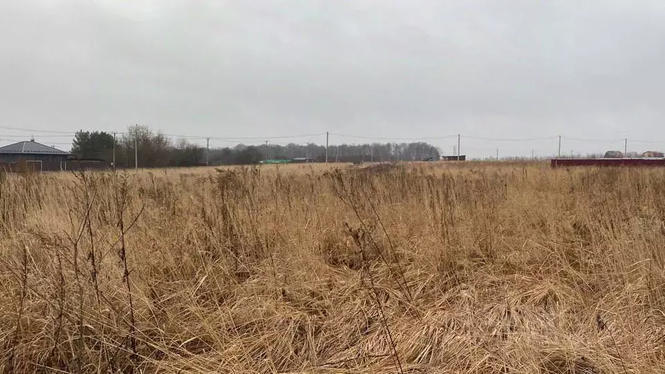 Участок в Московская область, Кашира городской округ, д. Тарасково ... - Фото 0