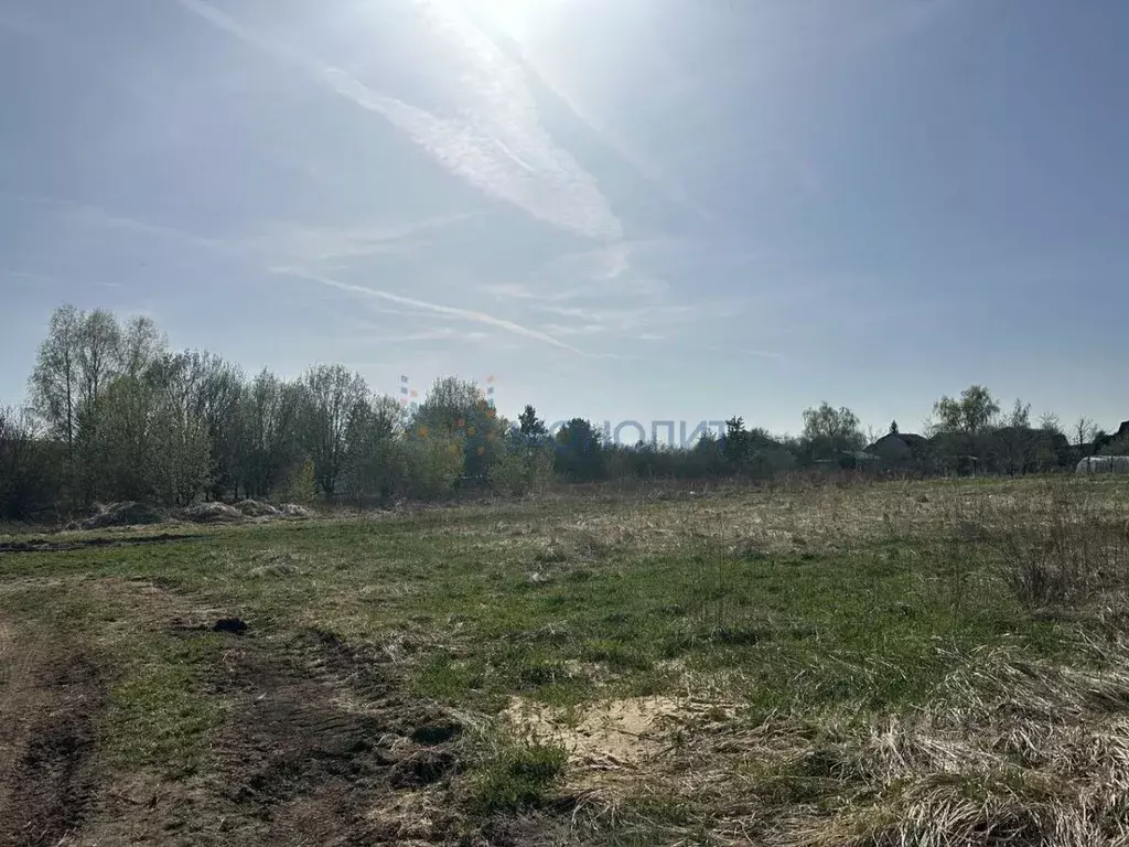 Участок в Нижегородская область, Богородский муниципальный округ, д. ... - Фото 2