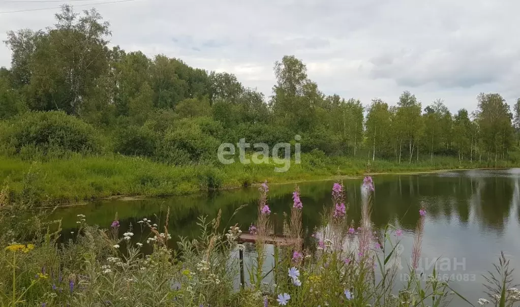 Участок в Новосибирская область, Новосибирский район, Барышевский ... - Фото 0