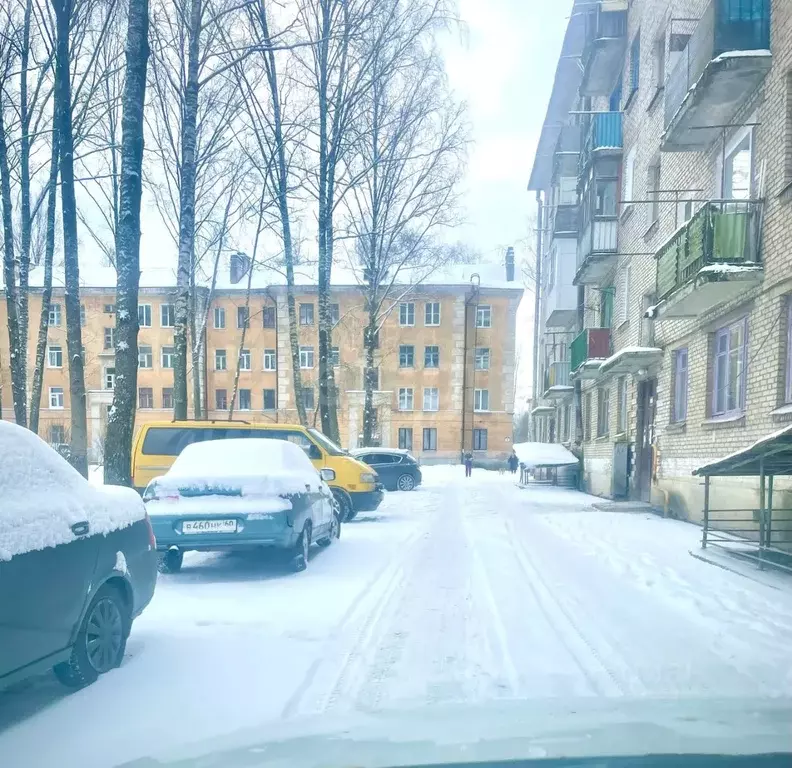 3-к кв. Псковская область, Остров ул. ДОС, 8 (82.1 м) - Фото 1