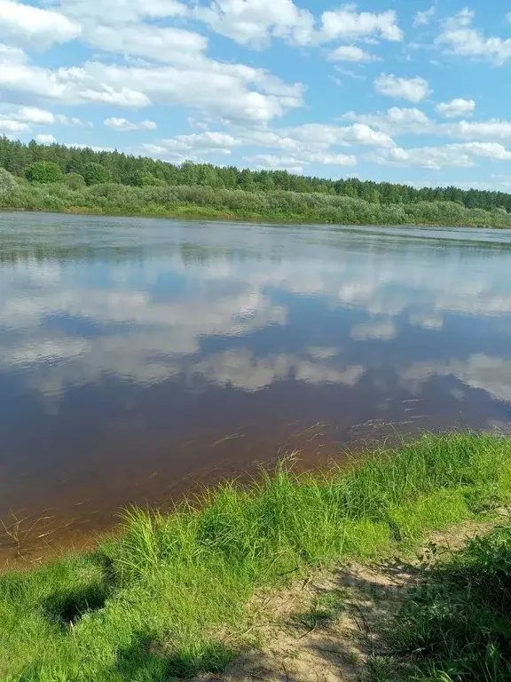 Участок в Нижегородская область, Бор  (19.0 сот.) - Фото 1