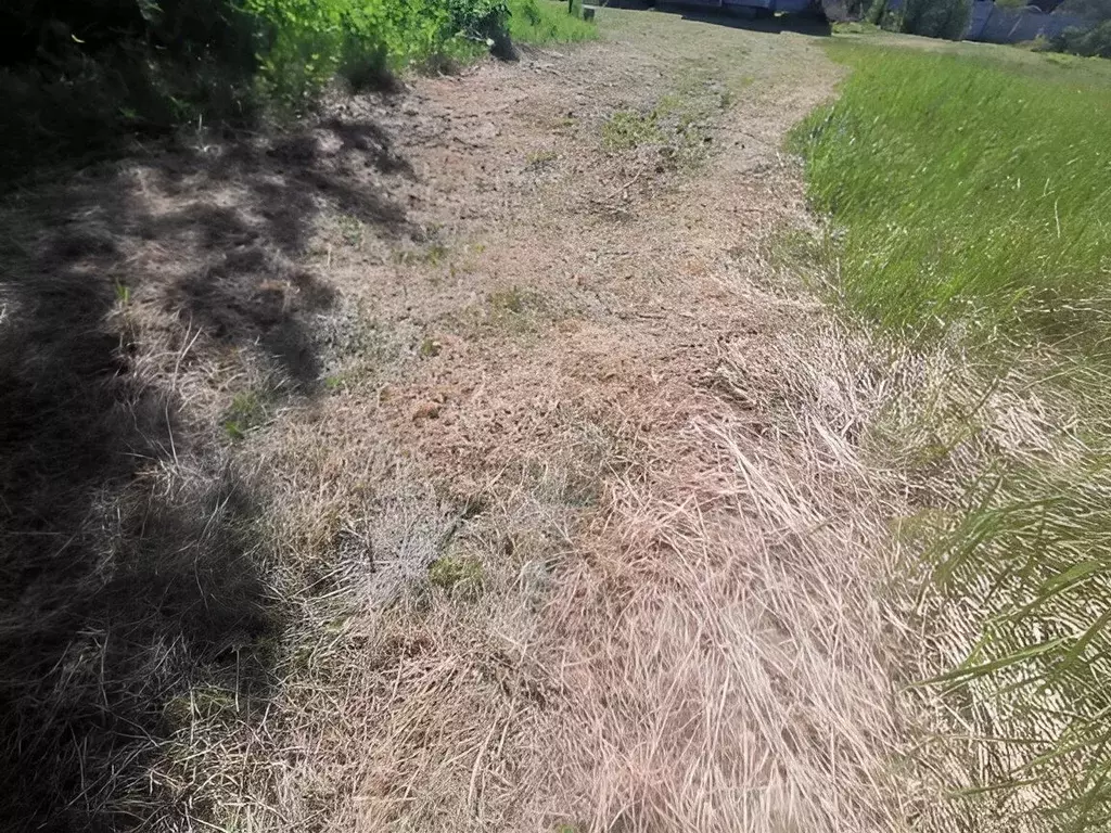 Участок в Владимирская область, Александровский муниципальный округ, ... - Фото 2