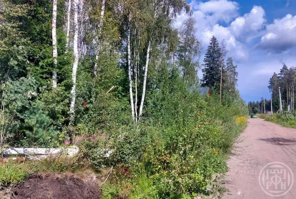 Участок в Ленинградская область, Всеволожский район, Сертоловское ... - Фото 1