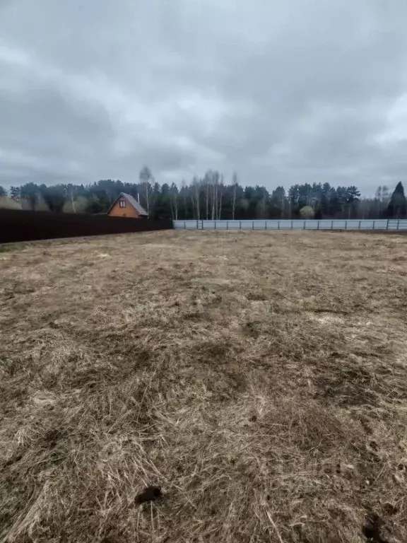 Участок в Московская область, Щелково городской округ, д. Огуднево ул. ... - Фото 1