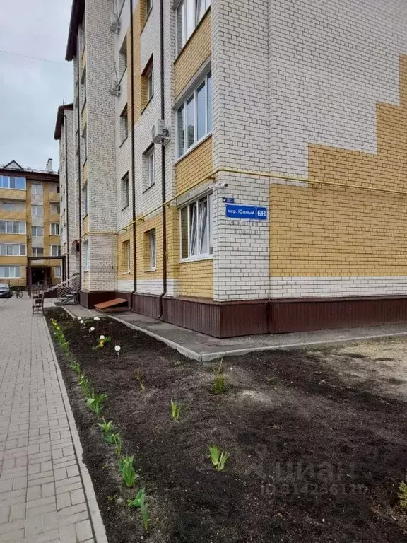 1-к кв. Тамбовская область, Тамбов городской округ, пос. Строитель, ... - Фото 0