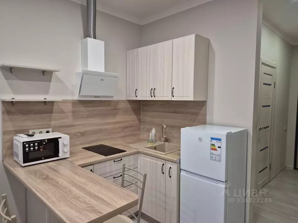 Студия Московская область, Одинцовский городской округ, Новоивановское ... - Фото 1