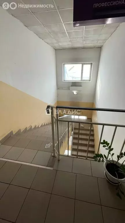 Офис (37.7 м) - Фото 2