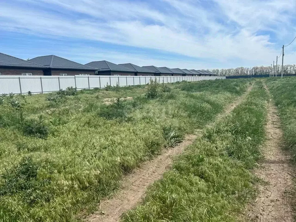 Участок в Ростовская область, Октябрьский район, пос. Персиановский  ... - Фото 1