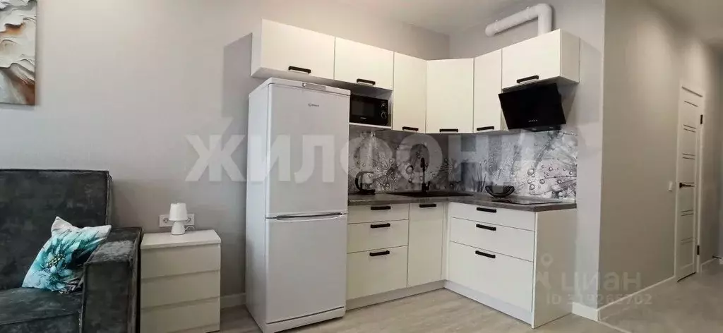 Студия Новосибирская область, Новосибирск ул. Аэропорт, 88 (27.0 м) - Фото 1