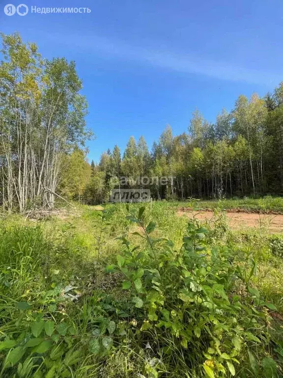 Участок в Добрянский городской округ, деревня Залесная (10000 м) - Фото 1