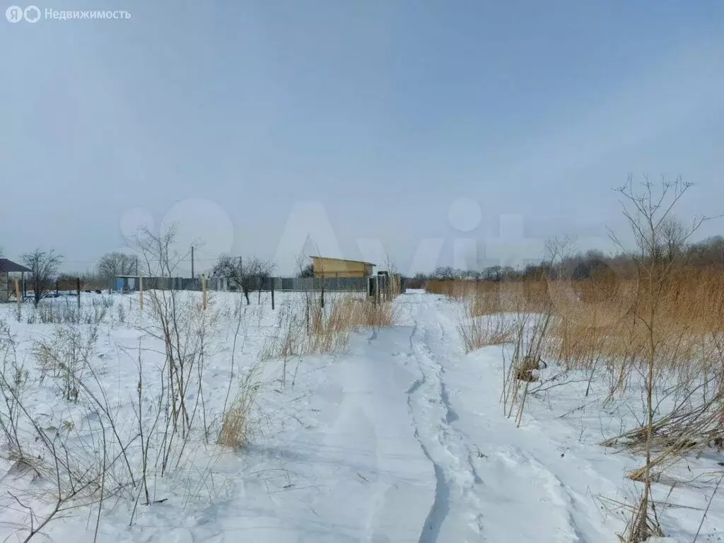 Участок в Хабаровский район, село Ракитное (15 м) - Фото 0