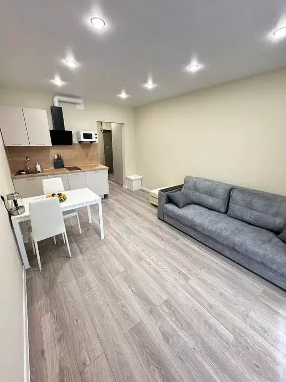 Студия Краснодарский край, Сочи ул. Искры, 88к3 (29.0 м) - Фото 1