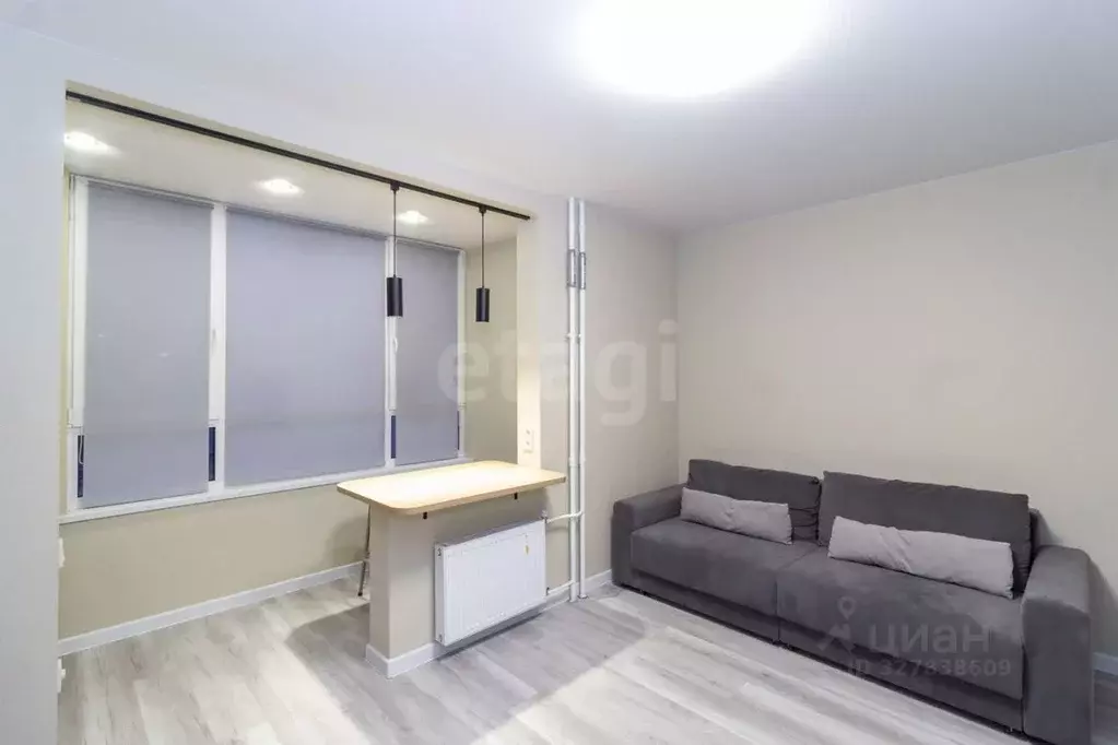 Студия Тюменская область, Тюменский муниципальный округ, д. Дударева ... - Фото 1