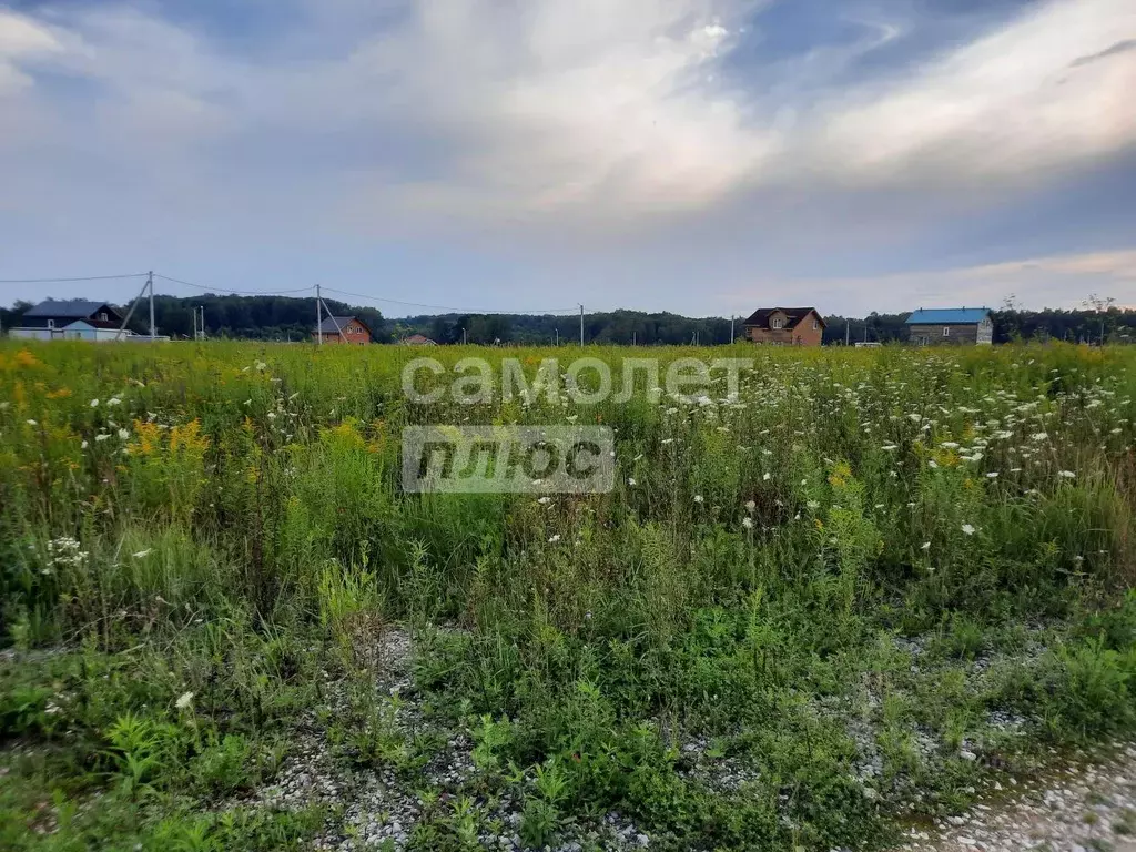 Участок в Московская область, Серпухов городской округ, д. Шепилово ... - Фото 2
