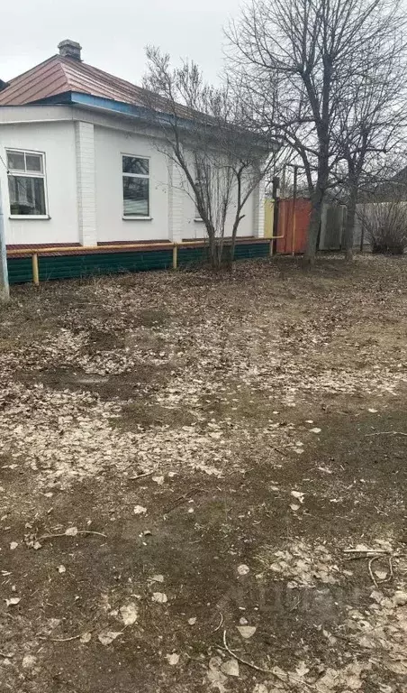 Дом в Воронежская область, Поворино ул. Кирова, 4 (106 м) - Фото 1