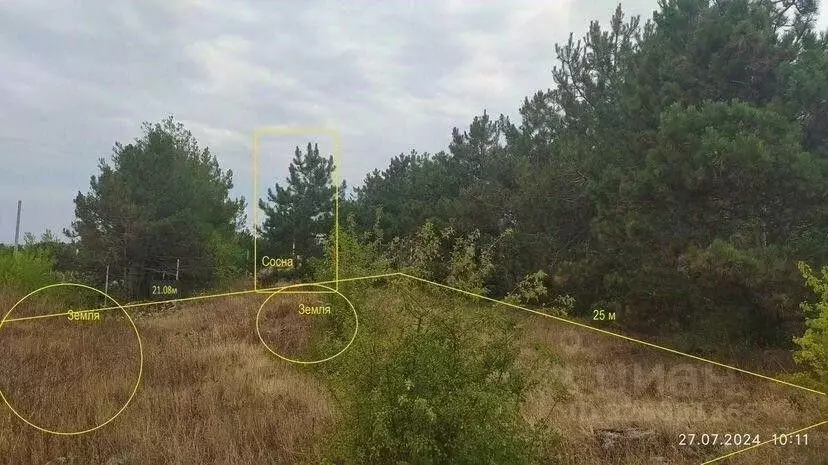 Участок в Севастополь Балаклавский муниципальный округ, Лазурь ТСН, ... - Фото 1