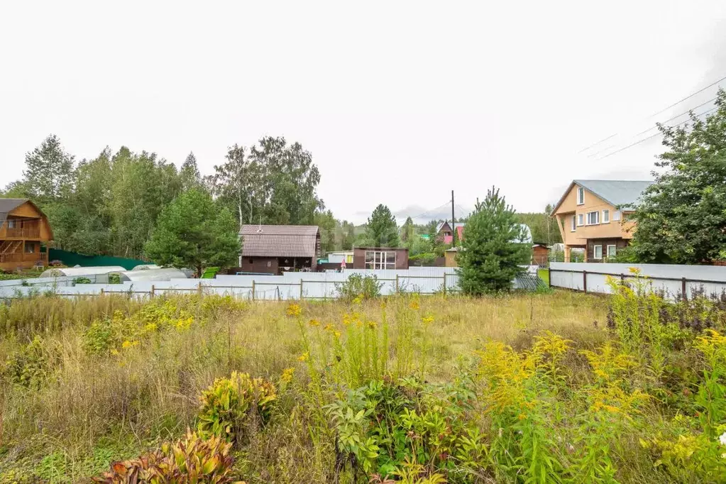 Участок в Новосибирская область, Мошковский район, Энергия СНТ 5 (6.0 ... - Фото 0