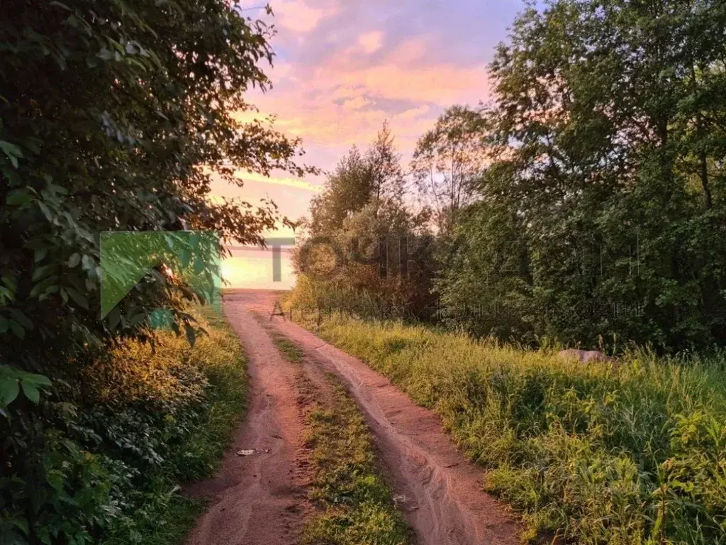 Участок в Ленинградская область, Выборгский район, Красносельское ... - Фото 0