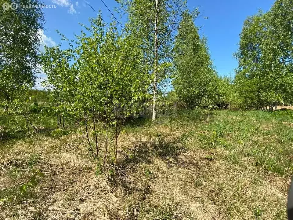 Участок в Куйвозовское сельское поселение, КП Грузино сити (6 м) - Фото 2