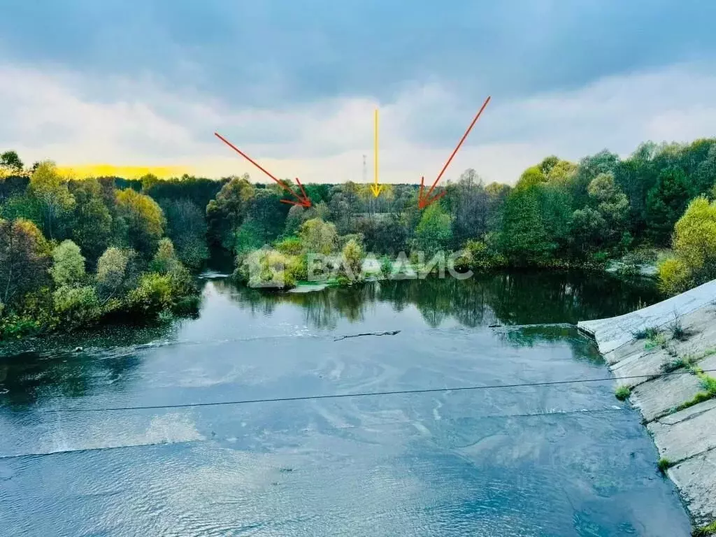 Участок в Пензенская область, Бессоновский район, пос. Подлесный ... - Фото 1