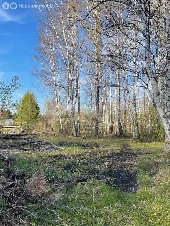 Участок в Тюменский муниципальный округ, деревня Коняшина, Луговая ... - Фото 2