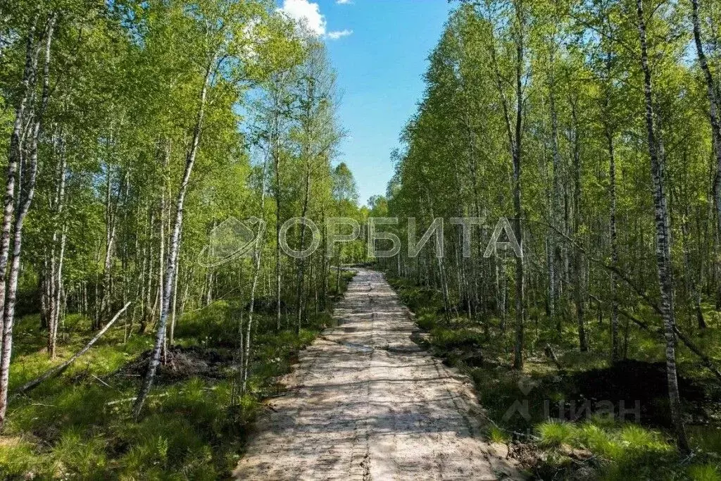 Участок в Тюменская область, Нижнетавдинский район, Геолог-2 СНТ  (9.0 ... - Фото 0