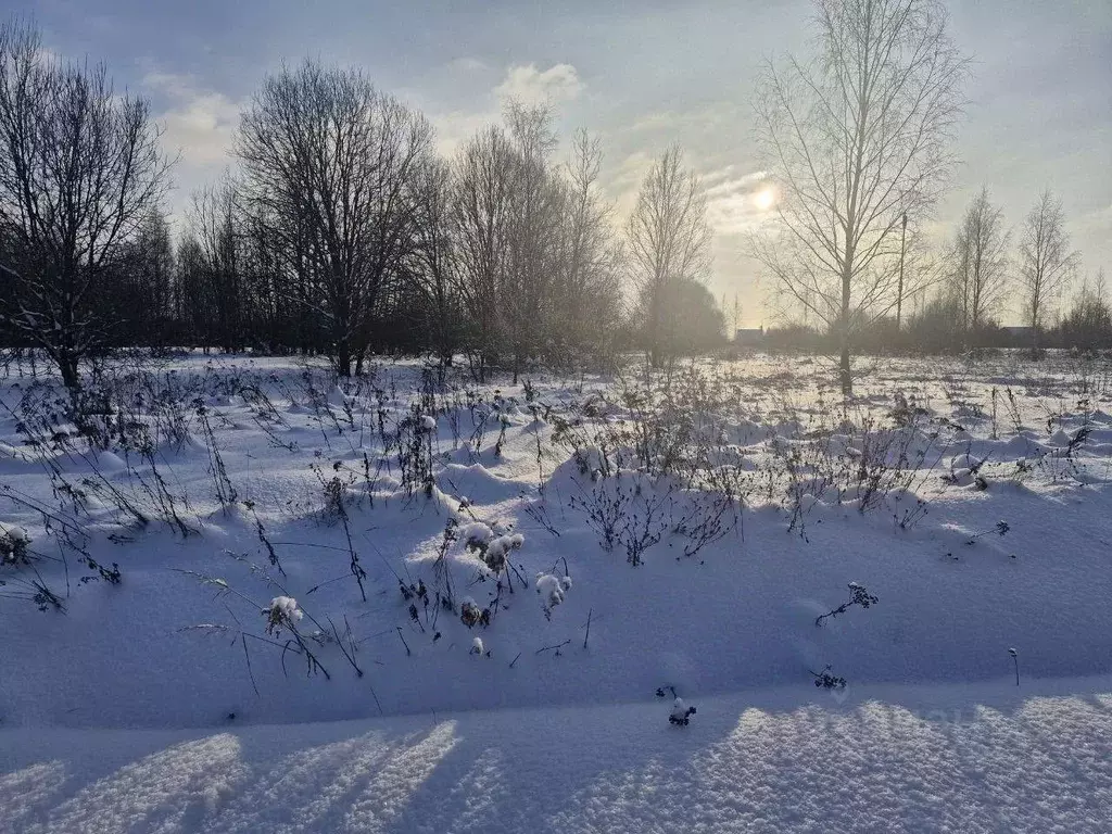 Участок в Московская область, Ступино городской округ, д. ... - Фото 2
