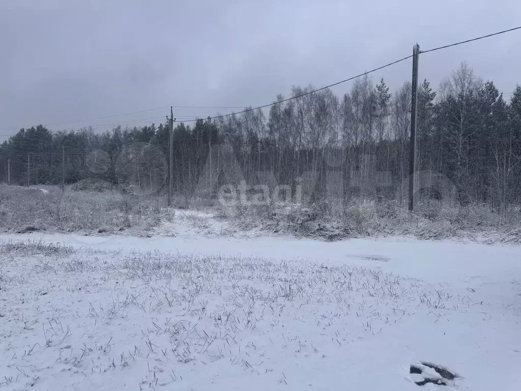 Участок 1,01 га (СНТ, ДНП) - Фото 0