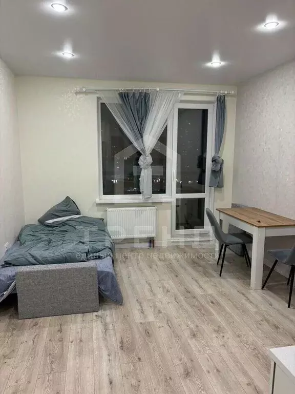 Студия Санкт-Петербург пос. Шушары, просп. Старорусский, 8к2 (22.4 м) - Фото 2