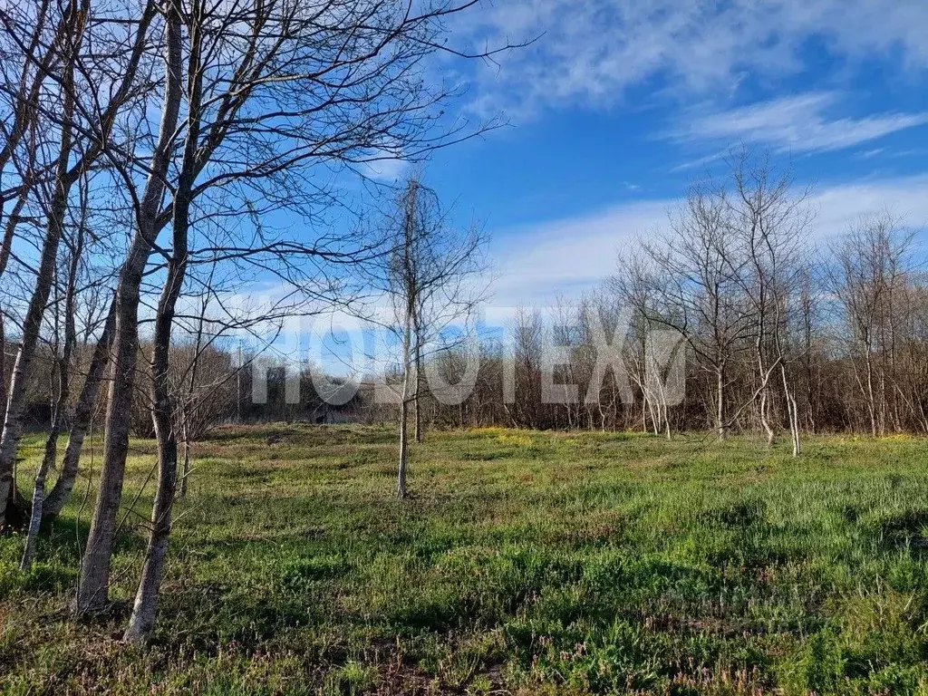 Участок в Краснодарский край, Апшеронский район, Кабардинское с/пос, ... - Фото 1