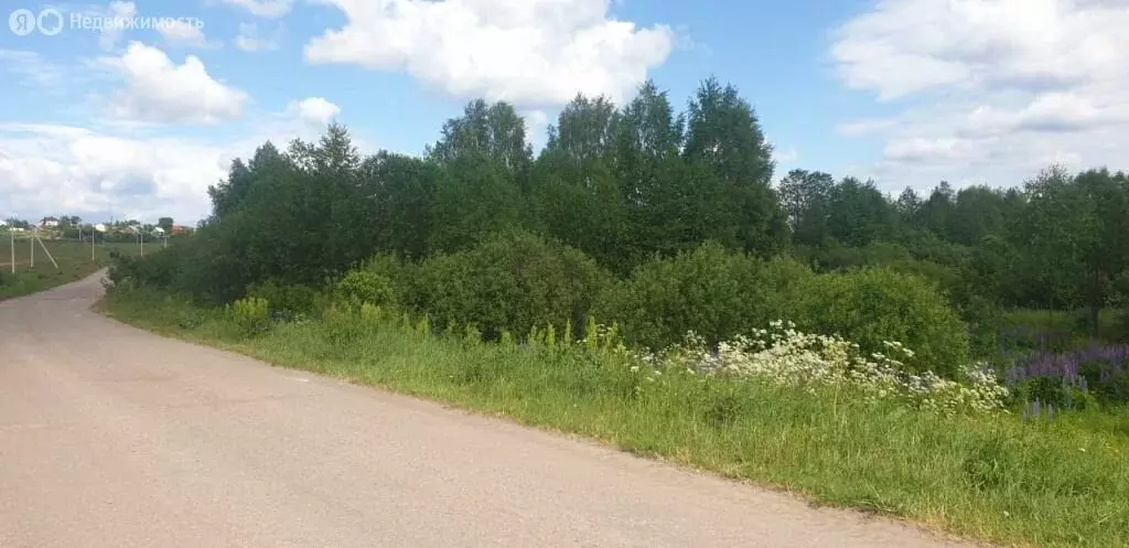 Участок в Нижегородская область, Богородский муниципальный округ, ... - Фото 0