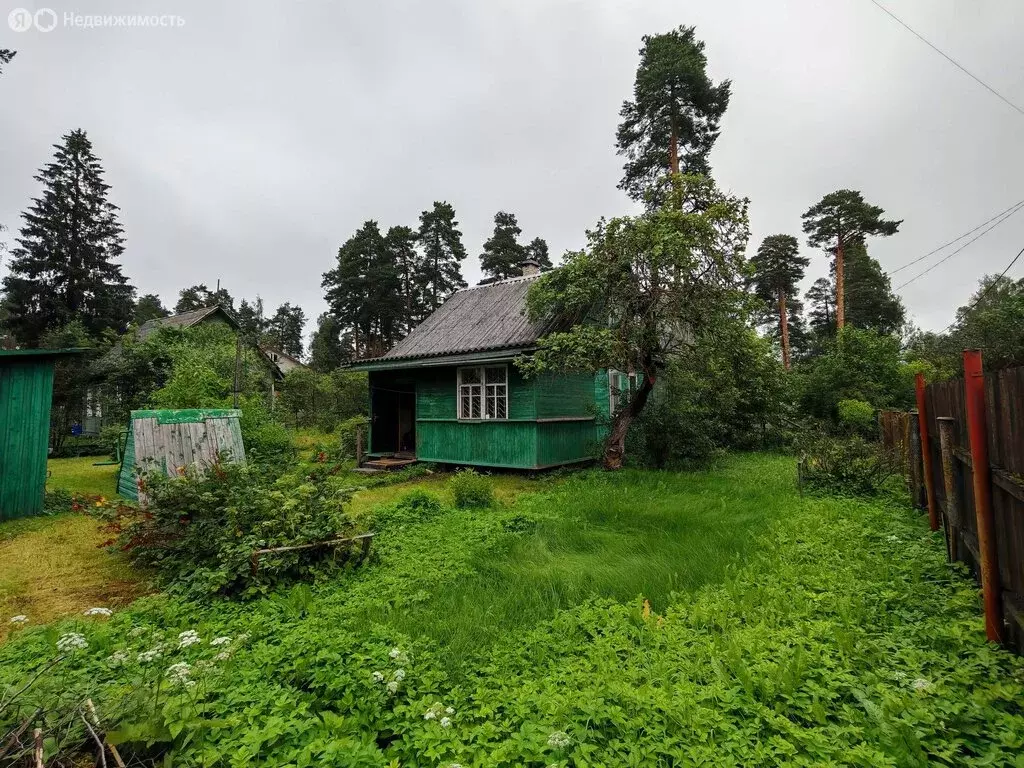 Дом в Вырица, Сиверское шоссе, 107 (45 м) - Фото 1